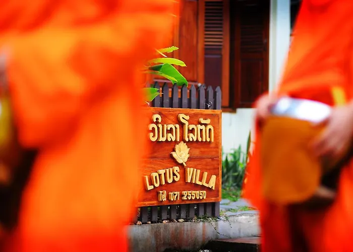 3 star hotel: Lotus Villa